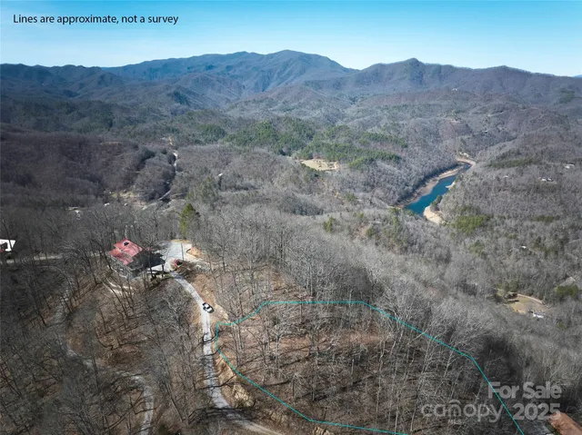 a view of a mountain in the distance