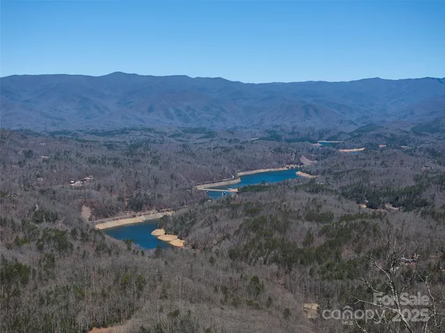 a view of a dry yard with green space