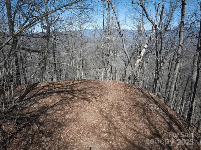 a view of outdoor space and a yard