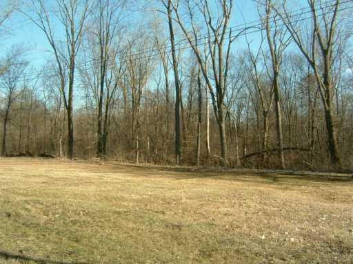 41945 Willow Road New Boston, MI 48164 - Photo 8 of 8 Photo 8