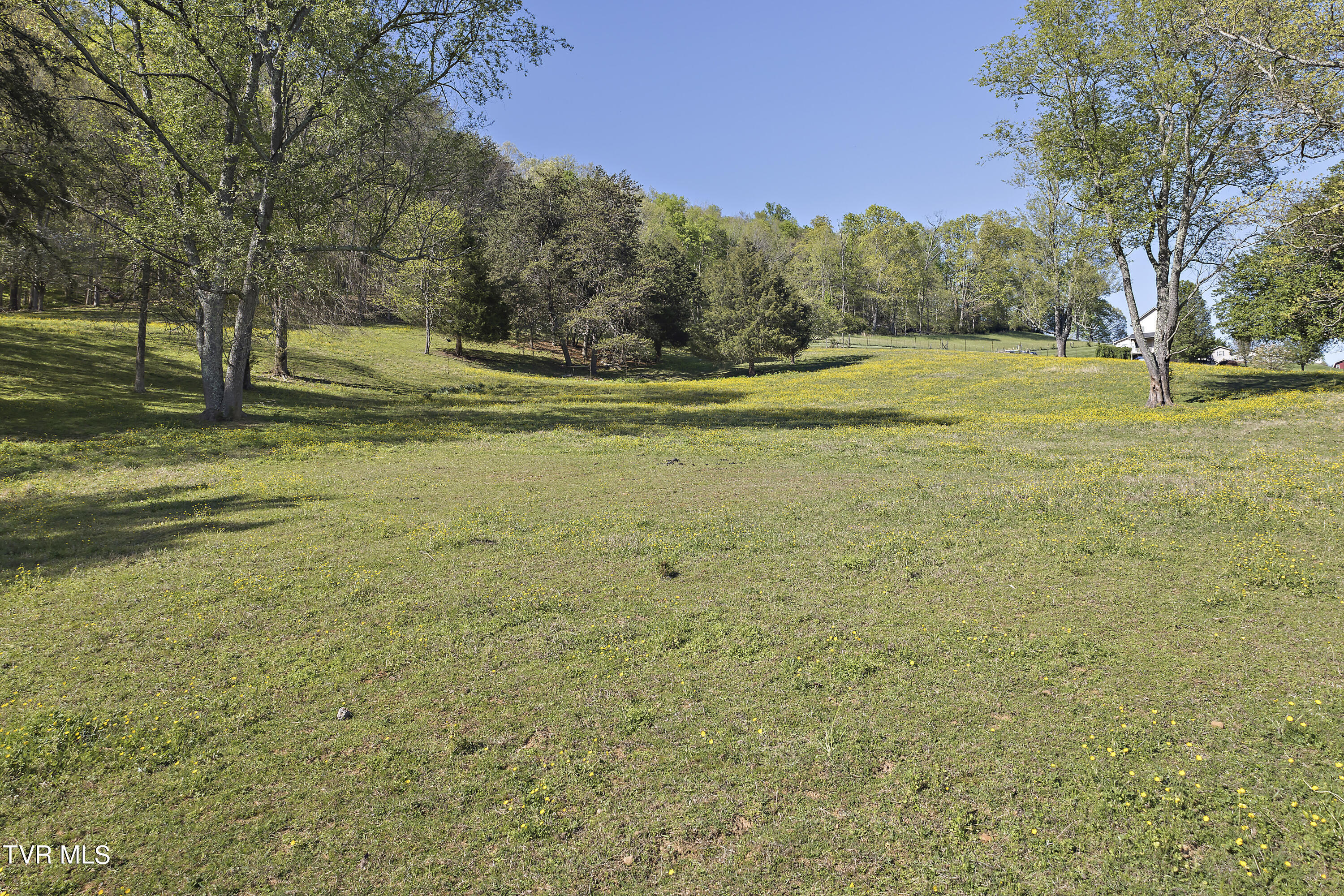 1217 Wahoo Valley Road Kingsport, TN 37663 - Photo 47 of 61 128A1488