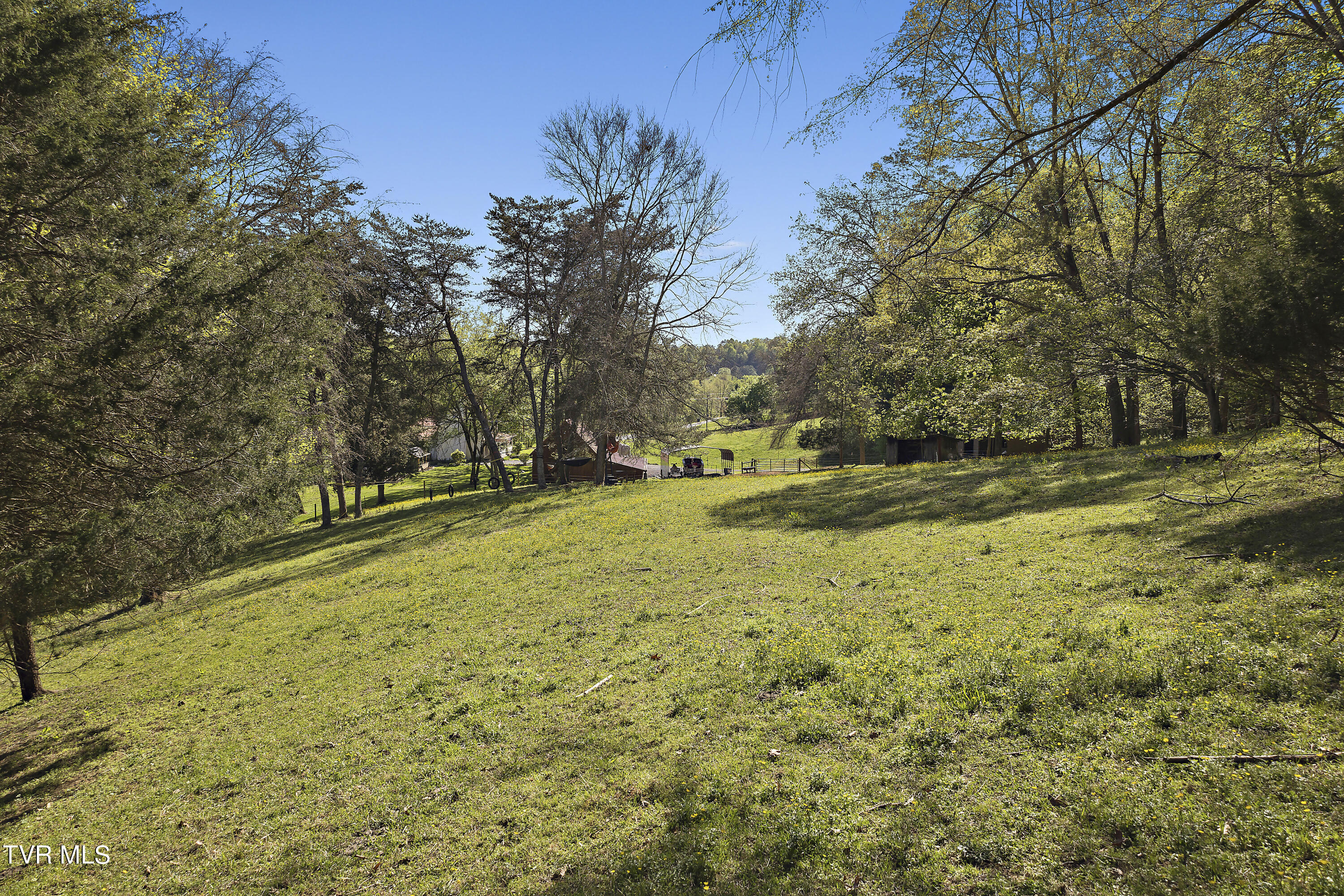 1217 Wahoo Valley Road Kingsport, TN 37663 - Photo 49 of 61 128A1475