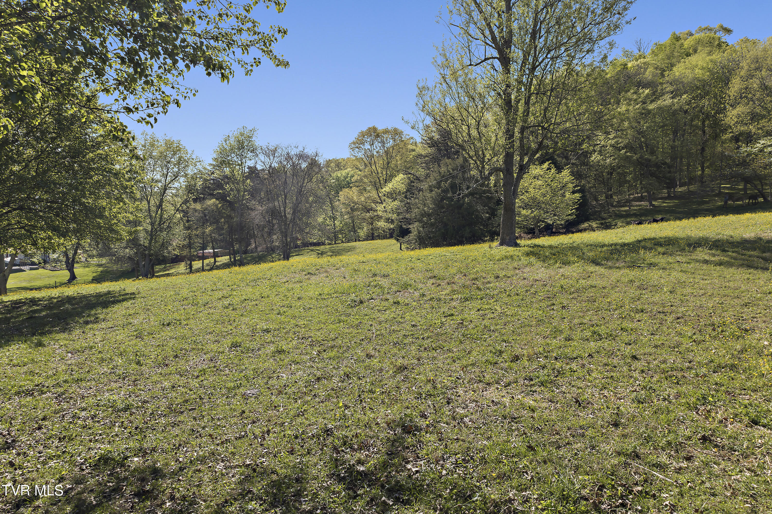 1217 Wahoo Valley Road Kingsport, TN 37663 - Photo 52 of 61 128A1481