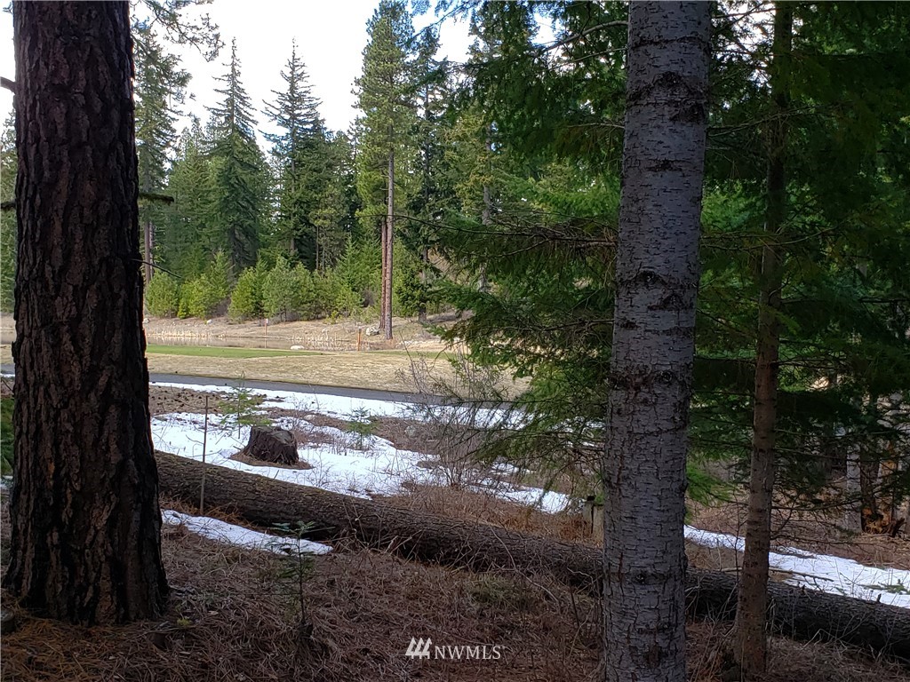 311 Spragger Way Cle Elum, WA 98922 - Photo 18 of 21 Gallery Image 18