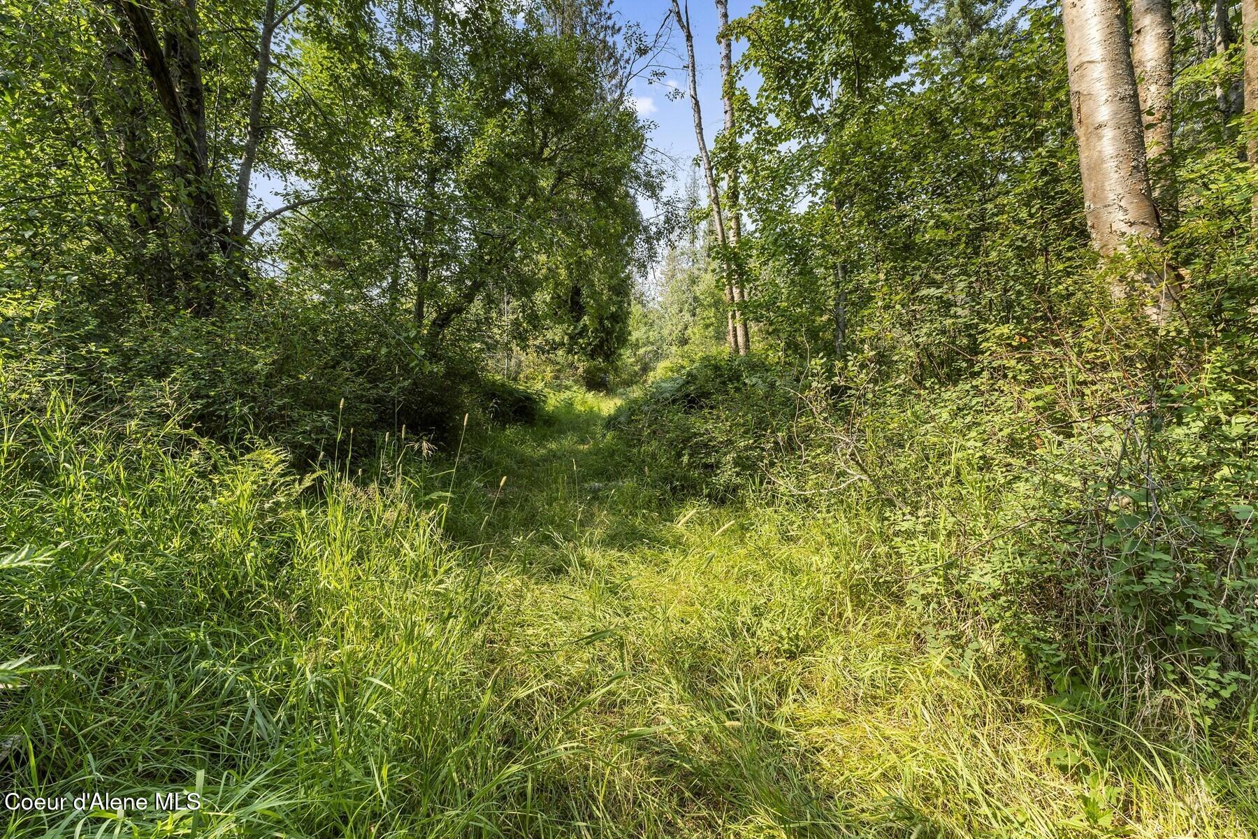 Nna Angel Creek Road Hope, ID 83836 - Photo 26 of 47 Mix of Sun and Shadow