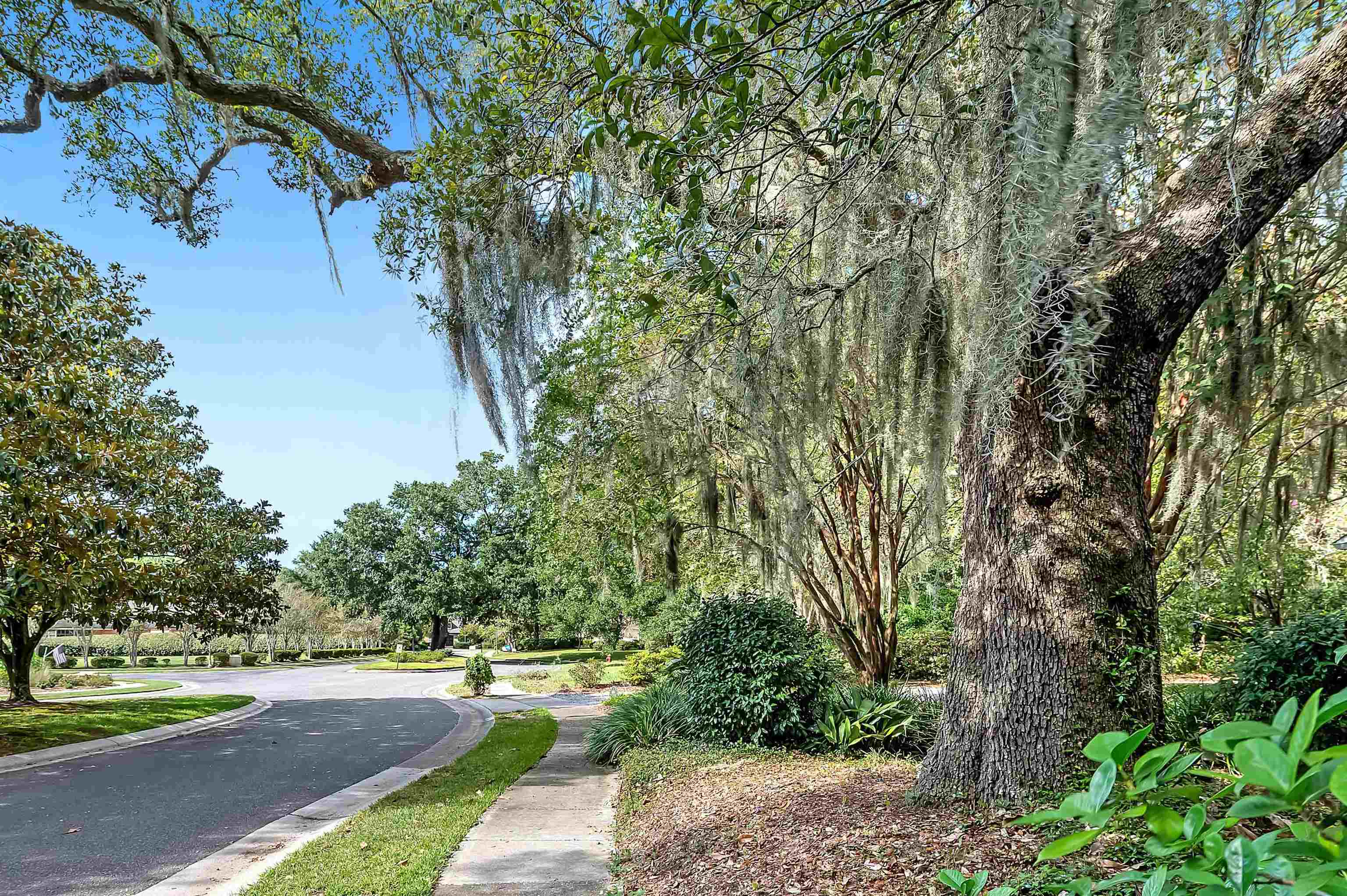 0 Point Clear Court Fairhope, AL 36532 - Photo 4 of 28