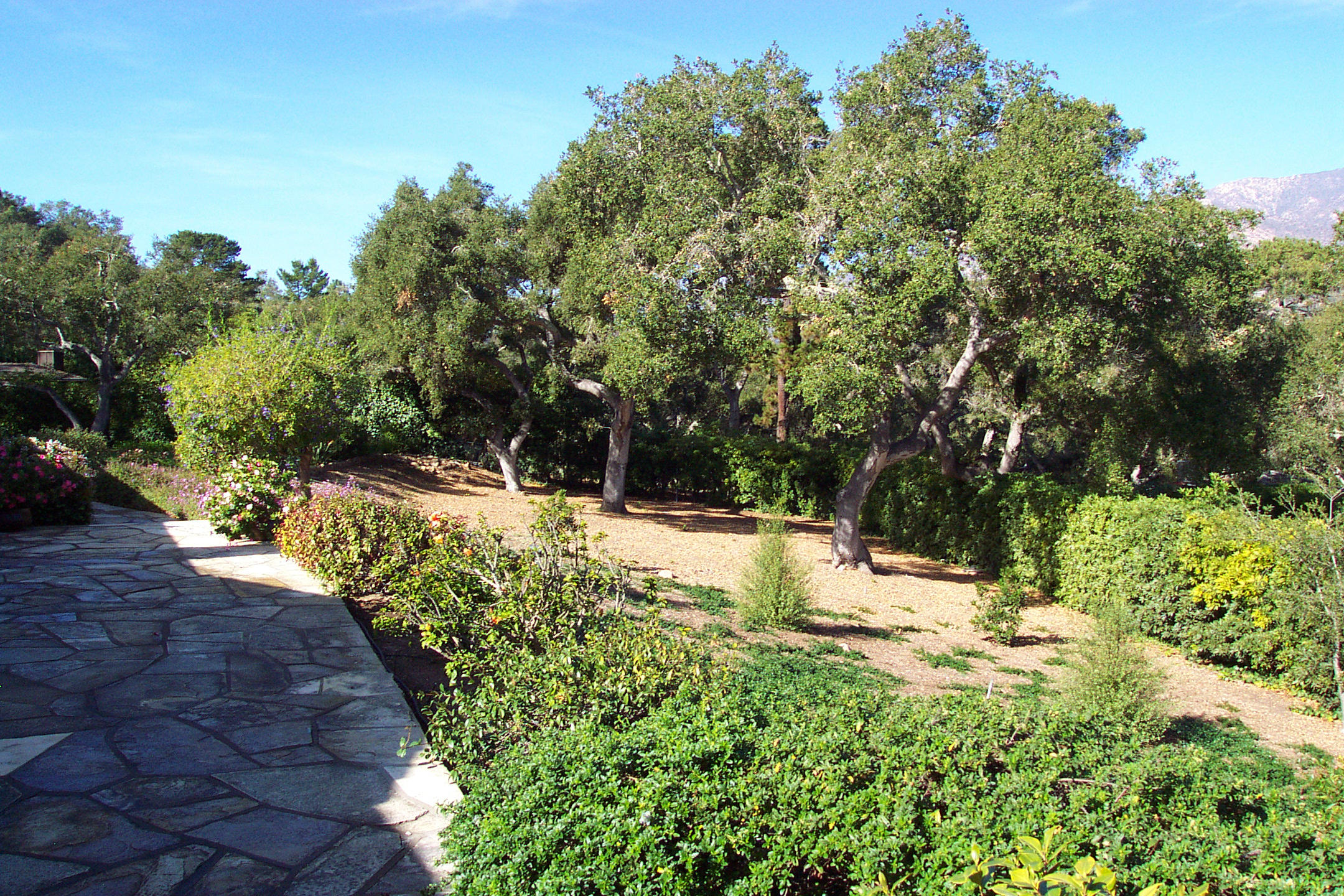 944 Arcady Road Montecito, CA 93108 - Photo 14 of 22 a view of a yard with trees