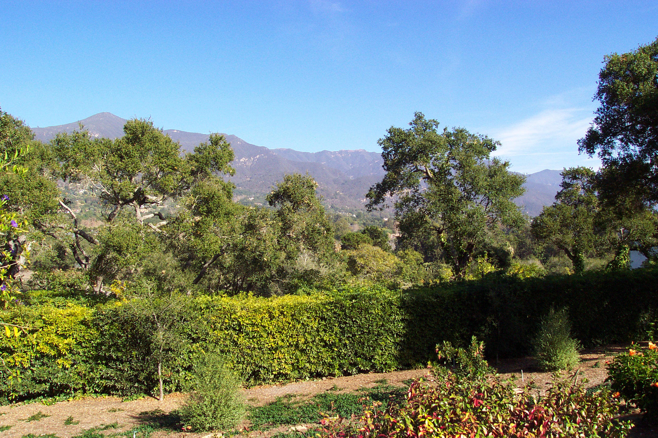 944 Arcady Road Montecito, CA 93108 - Photo 22 of 22 a view of a bunch of trees and bushes