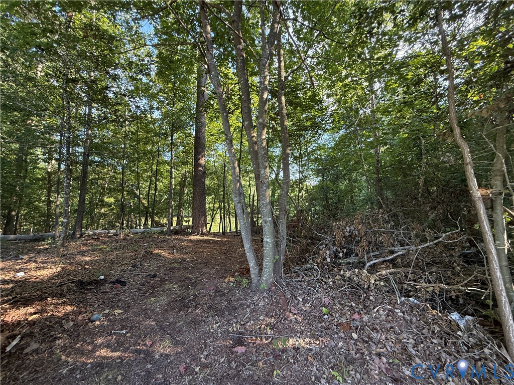 88 Seahawk Road Urbanna, VA 23175 - Photo 12 of 16 Wooded lot featuring mature trees and natural grou