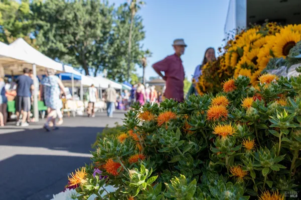 a view of street with flower