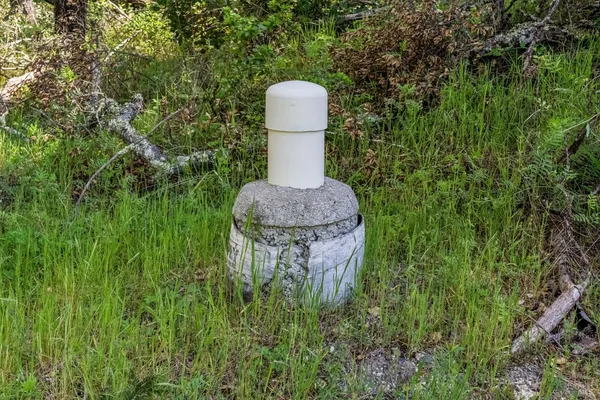 a view of a fire pit with plants and a large tree