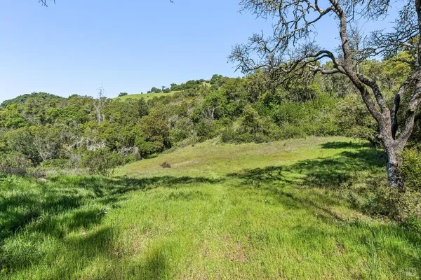 a view of a lush green space with sea