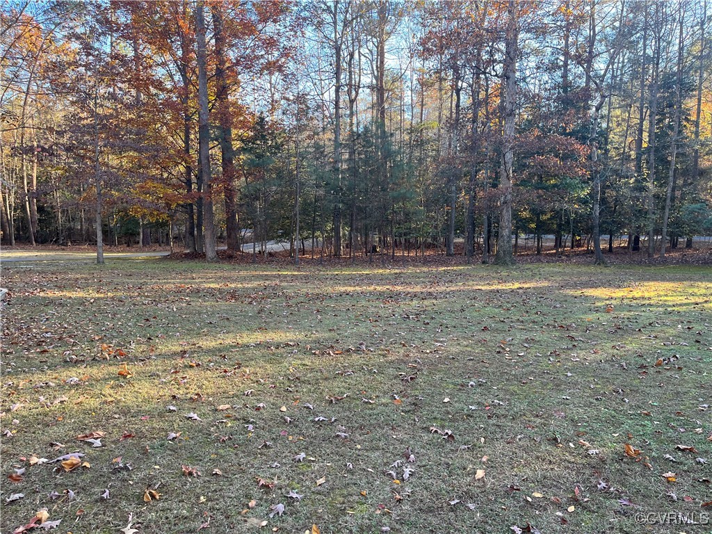 6220 Glebe Point Road Chesterfield, VA 23838 - Photo 13 of 50 a view of a fire pit with large trees