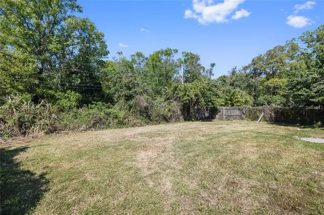 a view of a yard with a tree