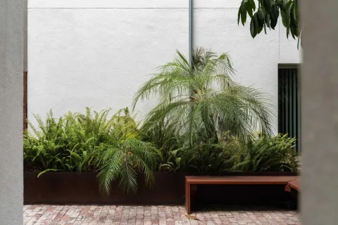 a view of a potted plant next to a yard