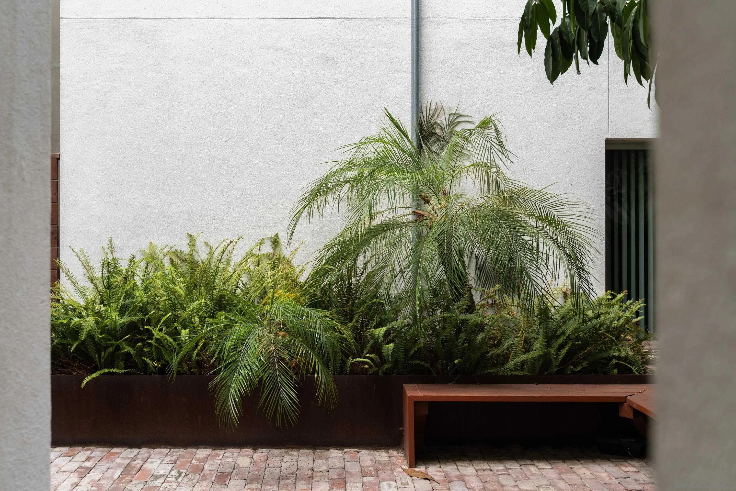 1941 Columbia Street San Diego, CA 92101 - Photo 6 of 10 a view of a potted plant next to a yard