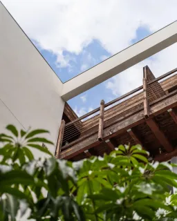 a close up of a plant in a pot