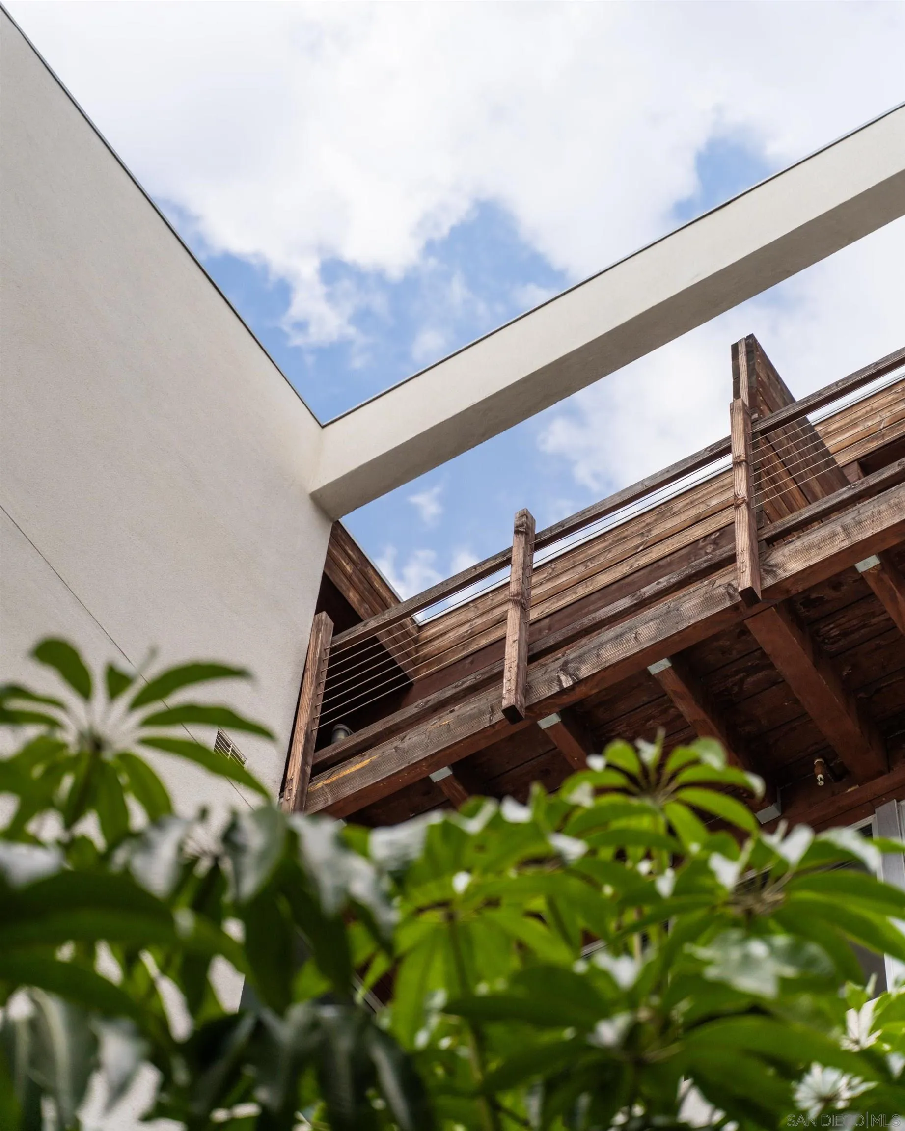 1941 Columbia Street San Diego, CA 92101 - Photo 8 of 10 a close up of a plant in a pot
