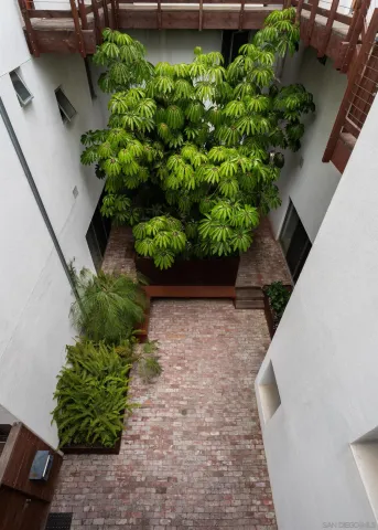 a view of a garden with plants