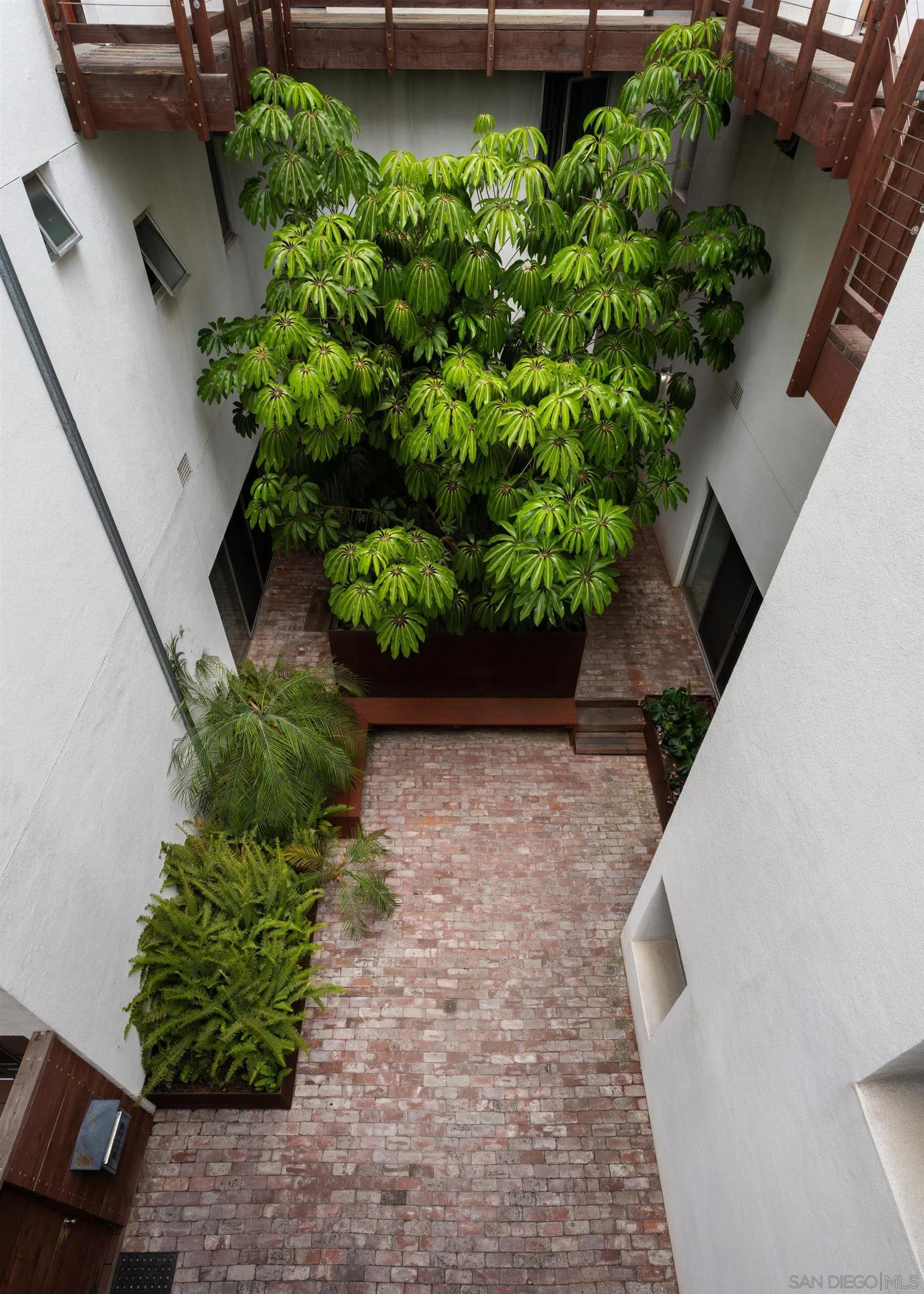1941 Columbia Street San Diego, CA 92101 - Photo 10 of 10 a view of a garden with plants