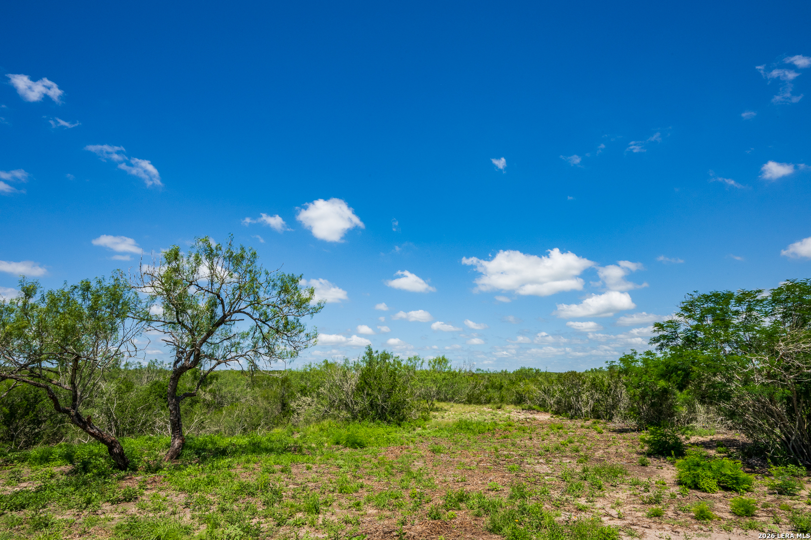 111 Los Lomas Ranch Road Freer, TX 78357 - Photo 18 of 31