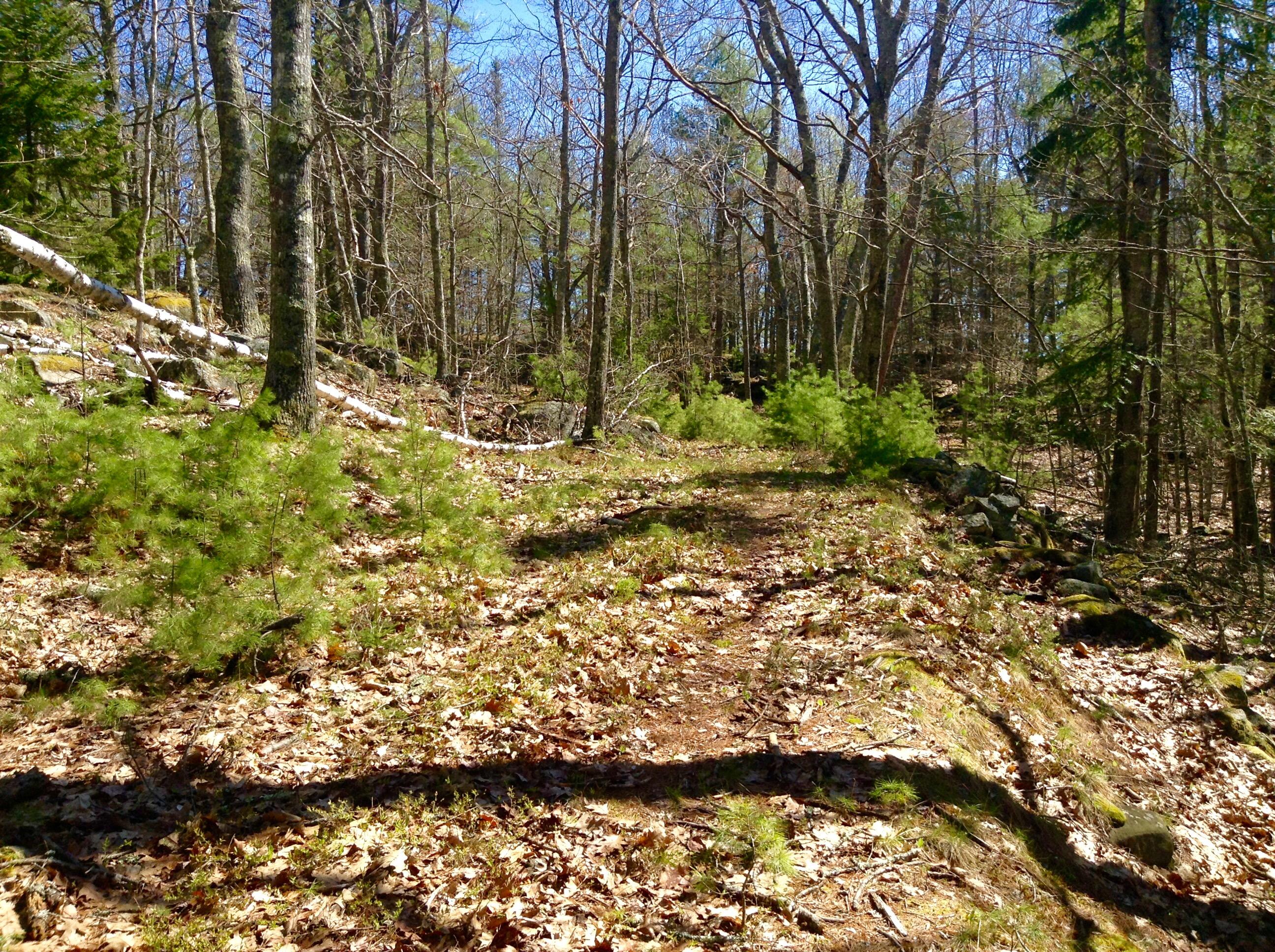 5 Narrows Way Georgetown, ME 04548 - Photo 17 of 29 Roadway