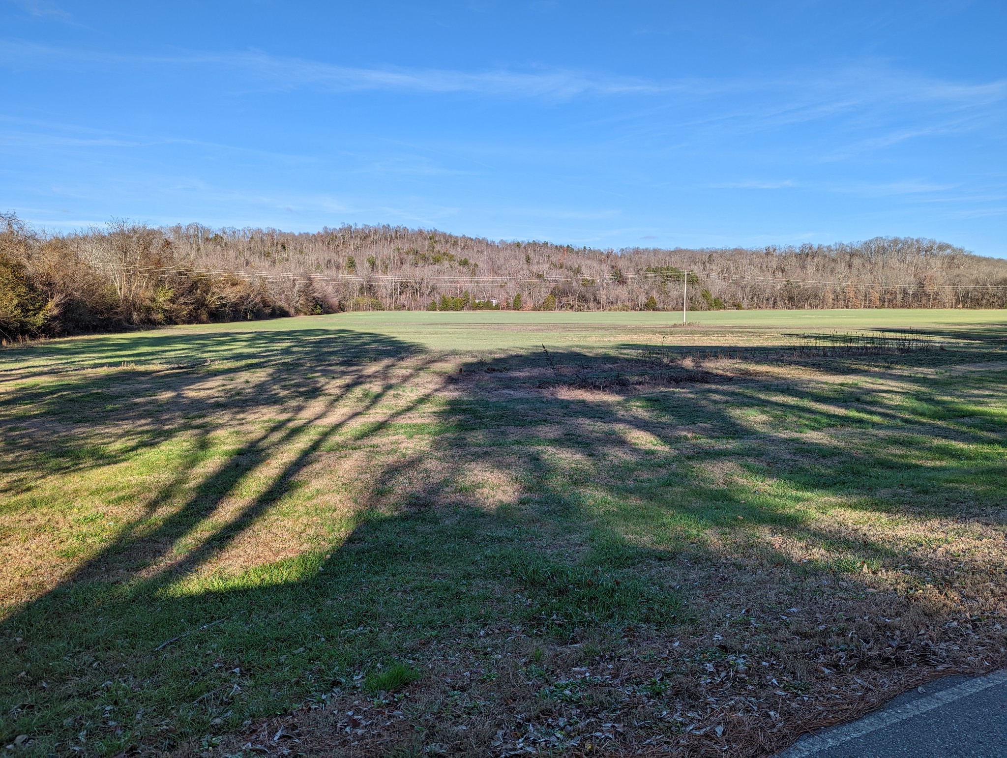 445 Wilsdorf Road Linden, TN 37096 - Photo 21 of 56 Gallery Image 21