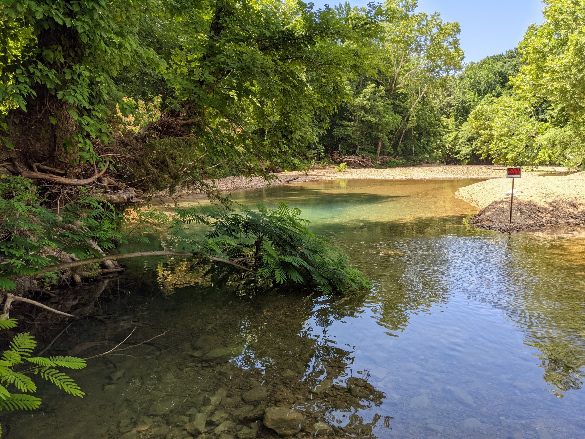 445 Wilsdorf Road Linden, TN 37096 - Photo 8 of 56 Gallery Image 8
