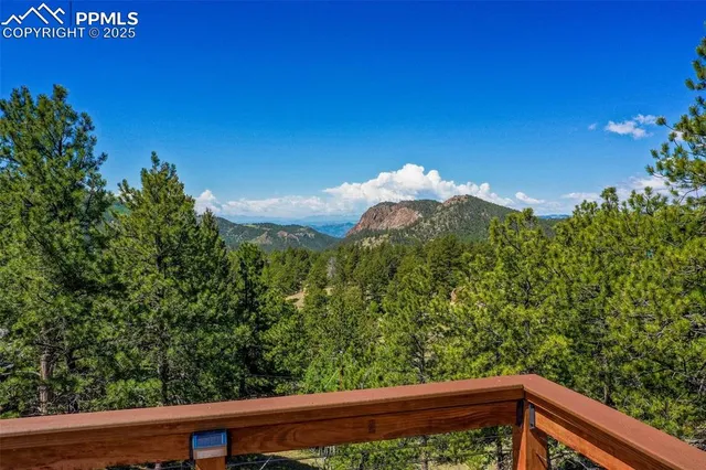 a view of a bunch of flowers