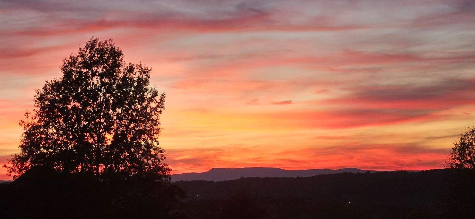 111 Will Ridge Drive Ringgold, GA 30736 - Photo 4 of 50 Gorgeous views!