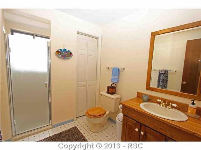 2720 Rigel Drive Colorado Springs, CO 80906 - Photo 15 of 19 Downstairs Bathroom