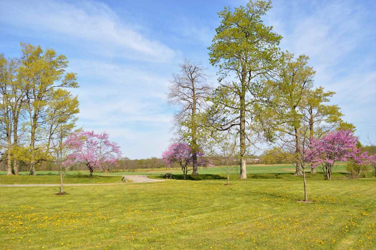 3441 South Washington Road Columbia City, IN 46725 - Photo 3 of 35 Gallery Image 3