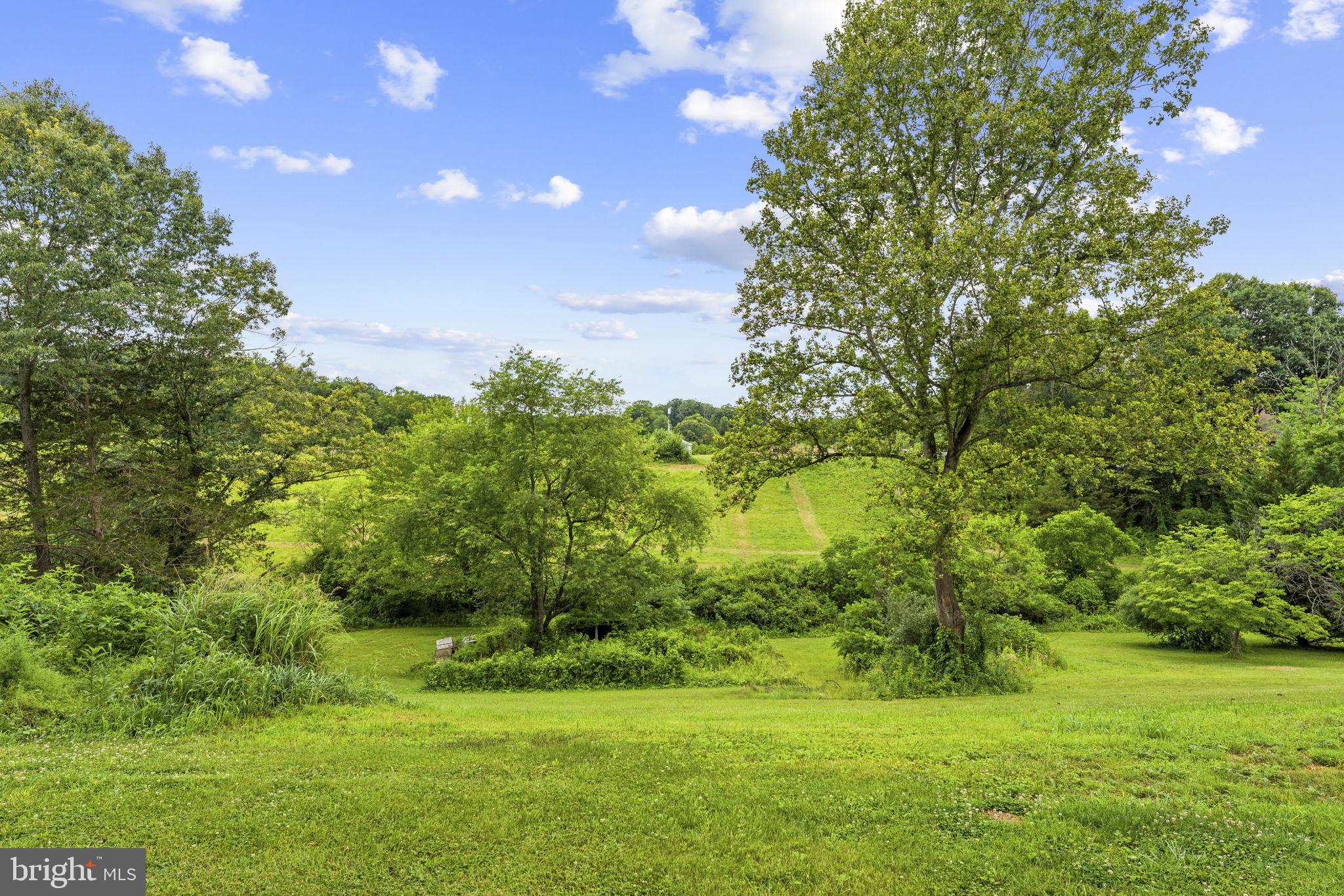 13166 Rixeyville Road Culpeper, VA 22701 - Photo 43 of 49