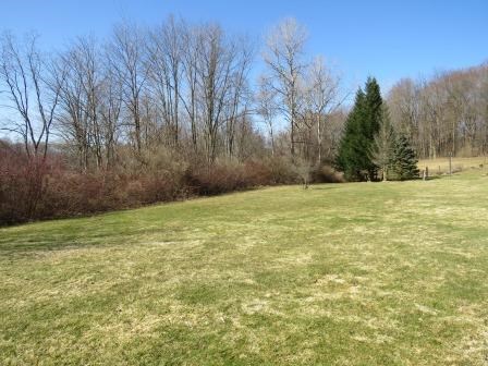 37970 Tryonville Road Centerville, PA 16404 - Photo 4 of 28