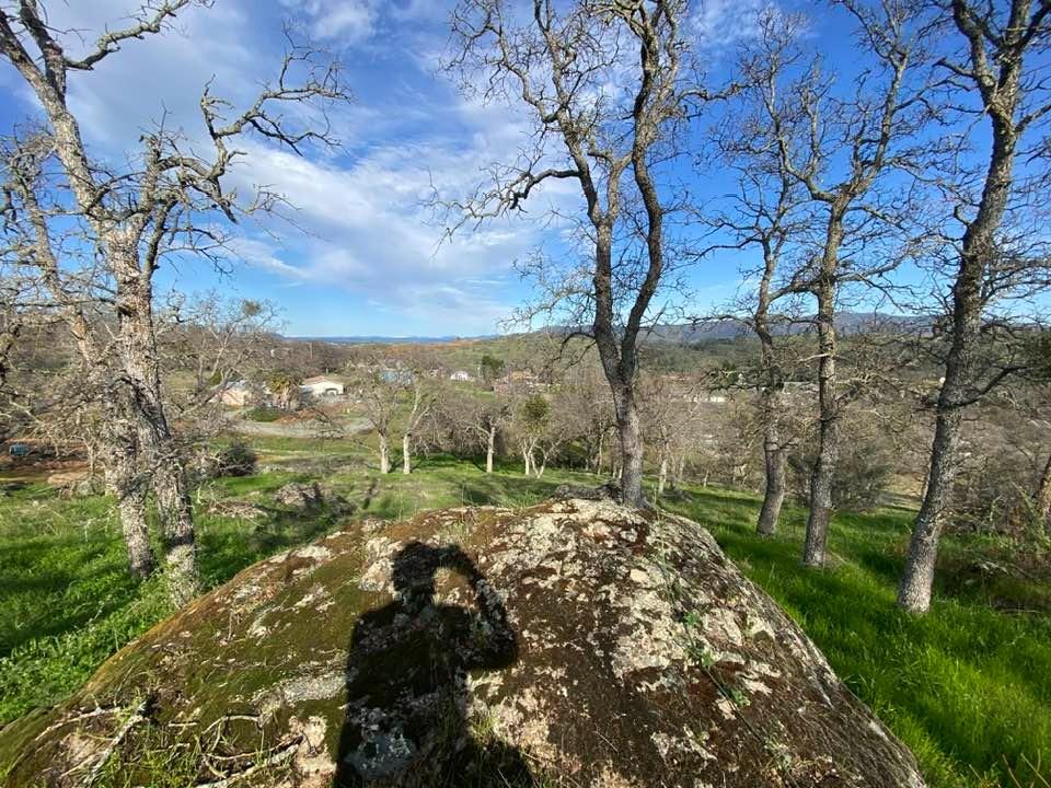 4241 Grisham Road Valley Springs, CA 95252 - Photo 12 of 22