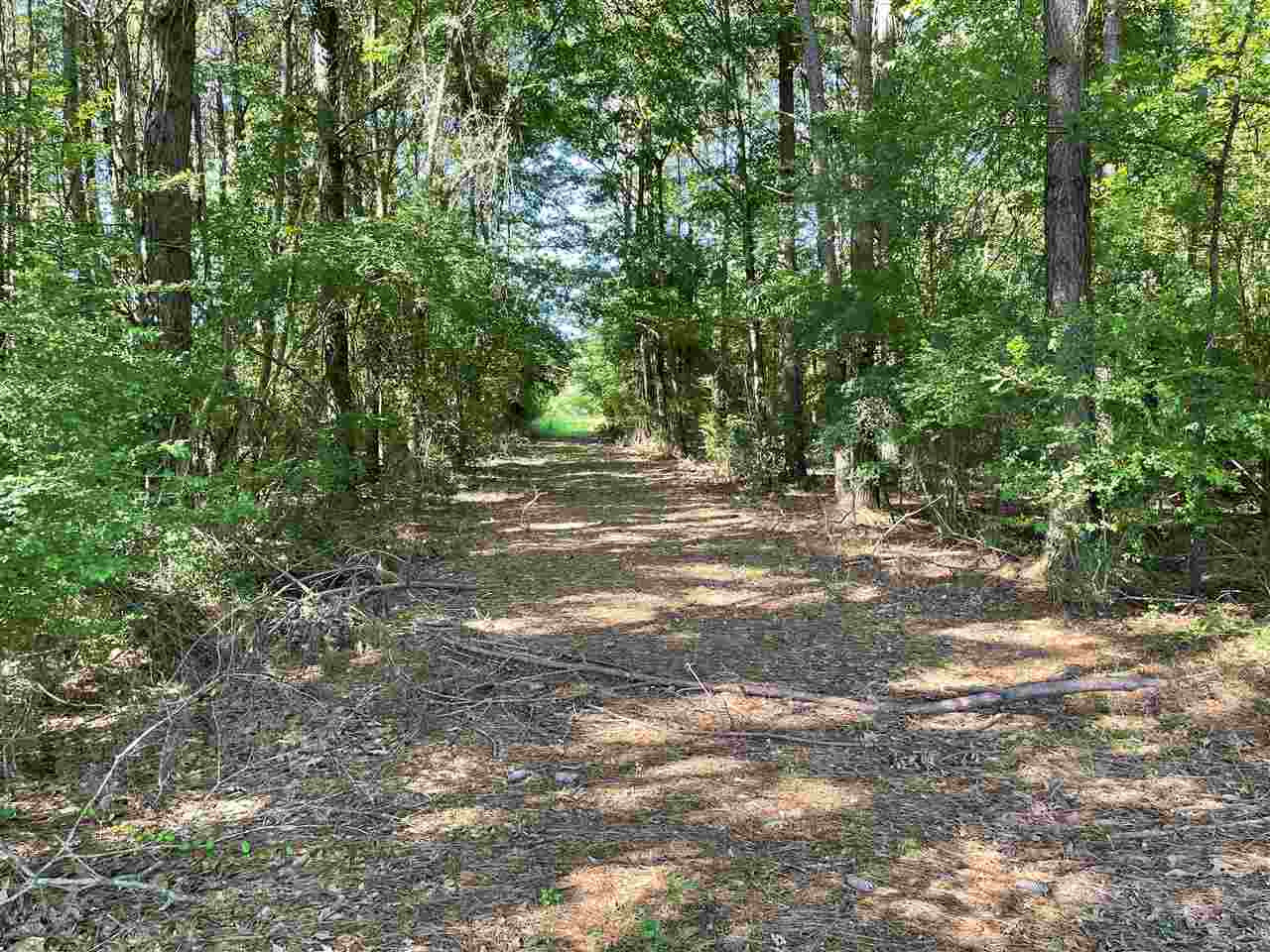 658 Owen Boone Road, Unit N/A Brandon, MS 39042 - Photo 11 of 22 Photo 11