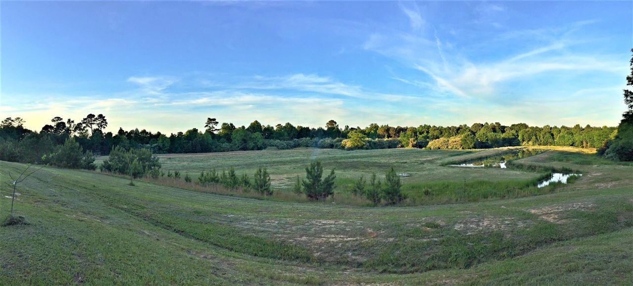 658 Owen Boone Road, Unit N/A Brandon, MS 39042 - Photo 2 of 22 Photo 2
