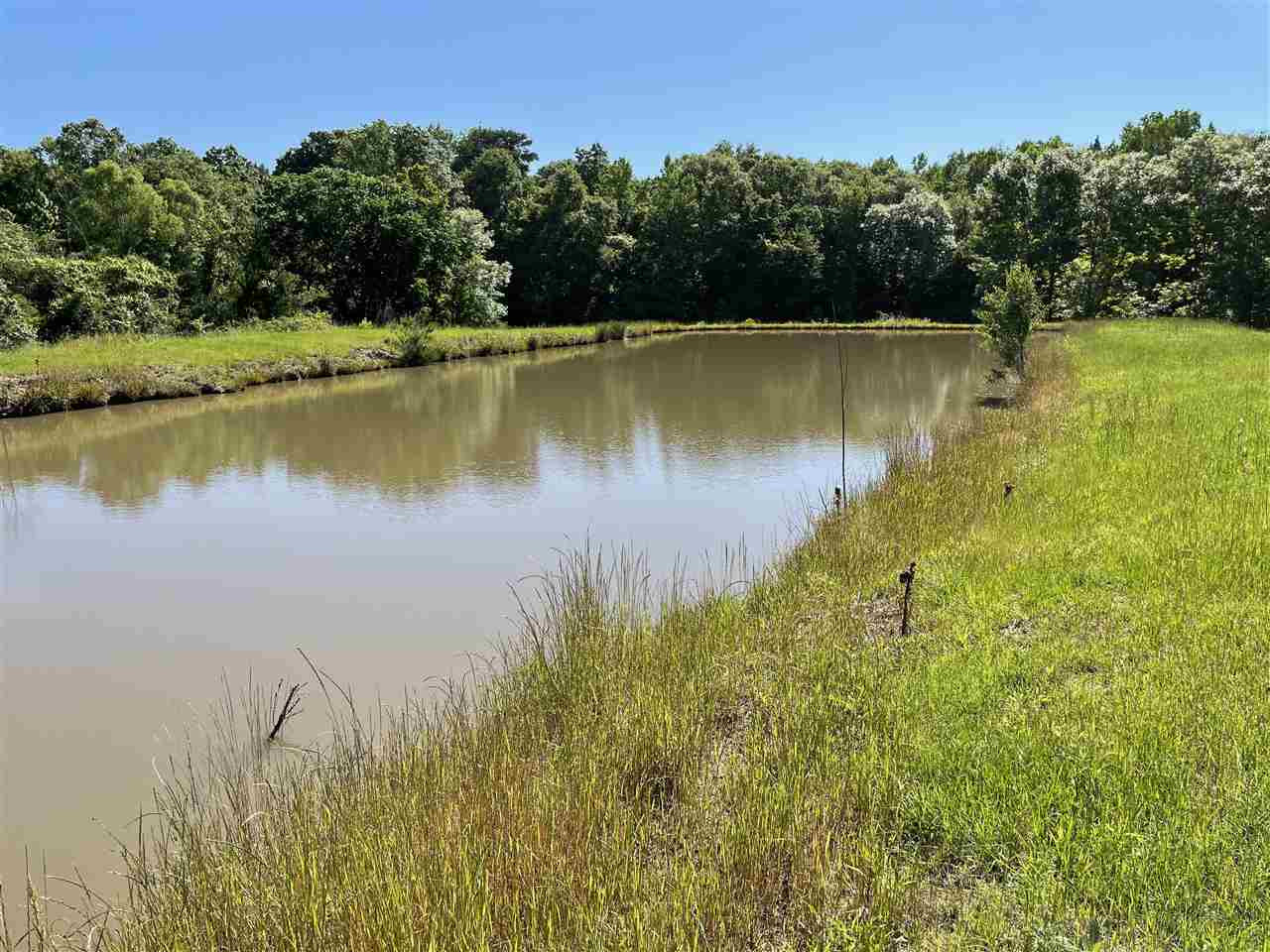658 Owen Boone Road, Unit N/A Brandon, MS 39042 - Photo 7 of 22 Photo 7