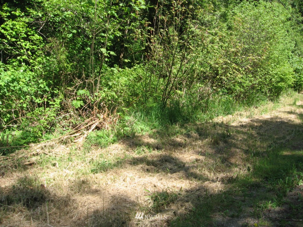 0 Southeast Channel Point Road Shelton, WA 98584 - Photo 5 of 6 Gallery Image 5