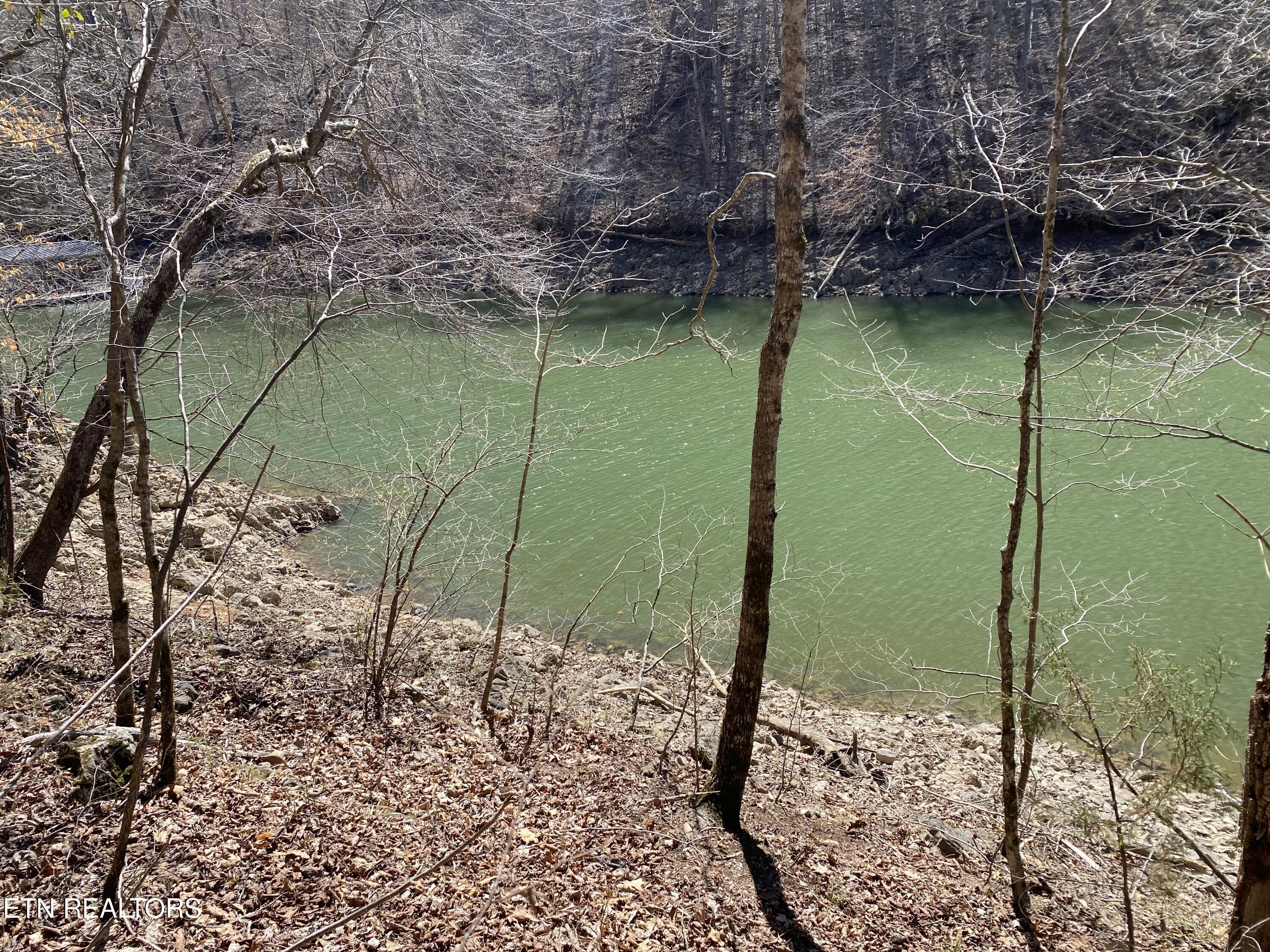 4 River Ridge Road Maynardville, TN 37807 - Photo 3 of 5 IMG_7652