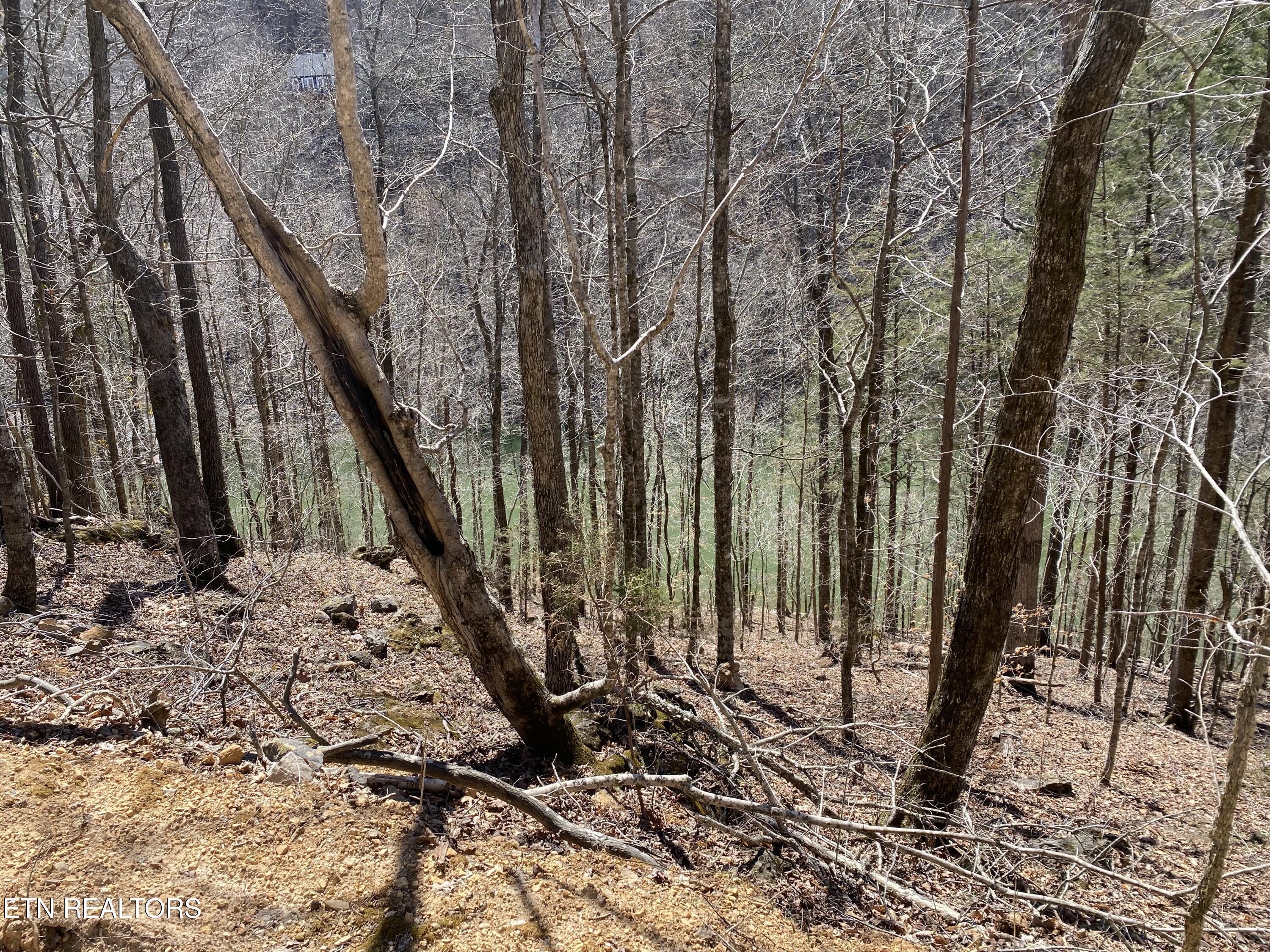 4 River Ridge Road Maynardville, TN 37807 - Photo 4 of 5 IMG_7650