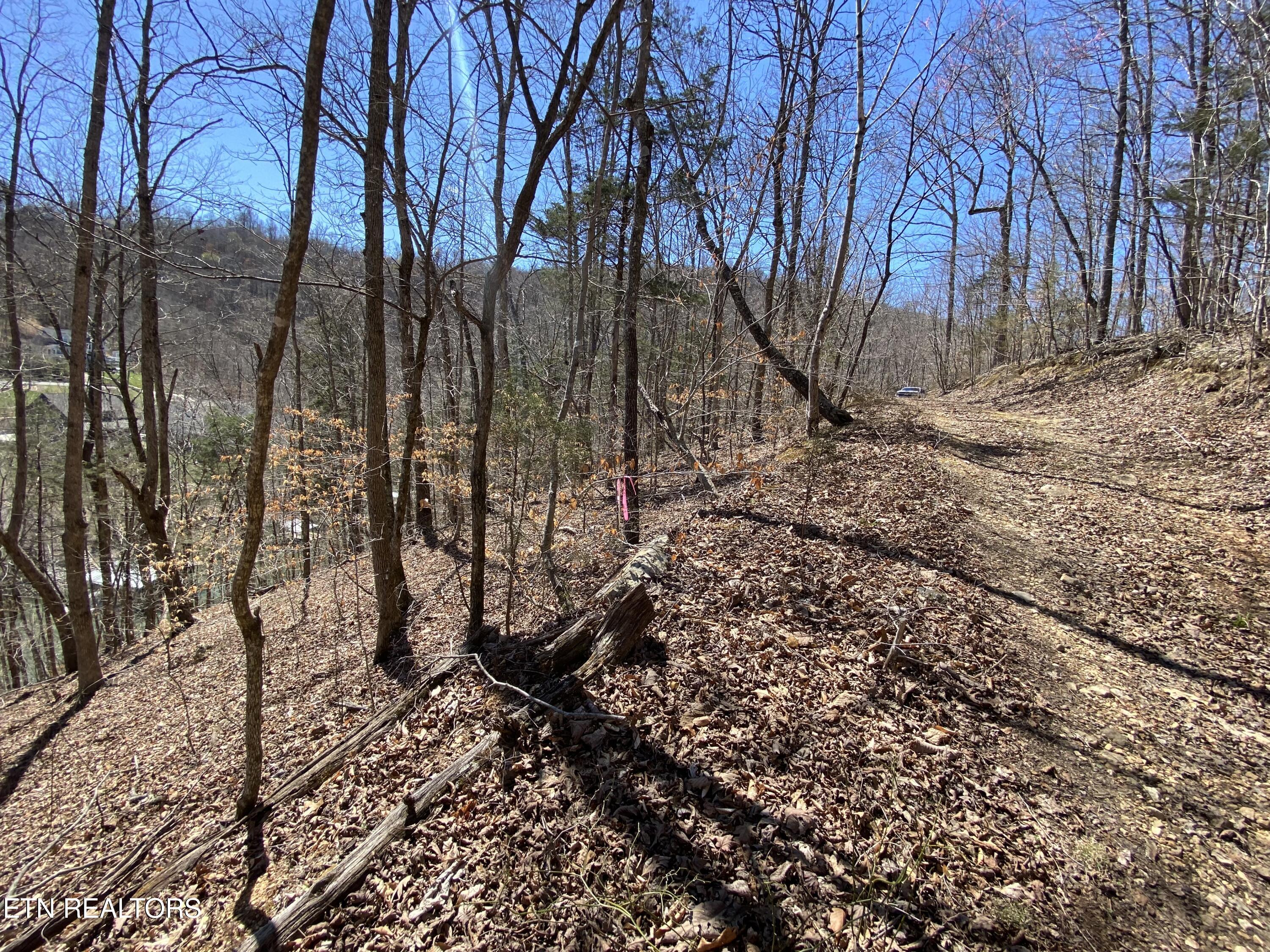 4 River Ridge Road Maynardville, TN 37807 - Photo 5 of 5 IMG_7644