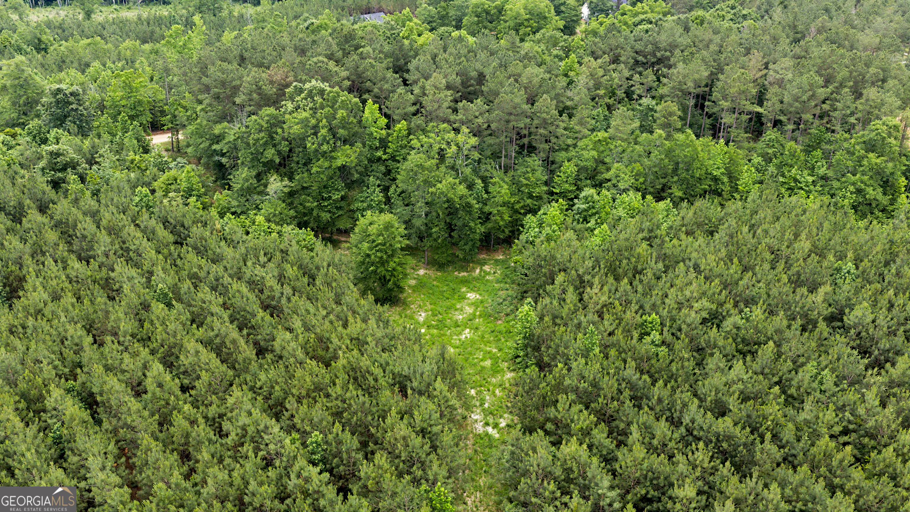 0 Perkins Road Barnesville, GA 30204 - Photo 11 of 13