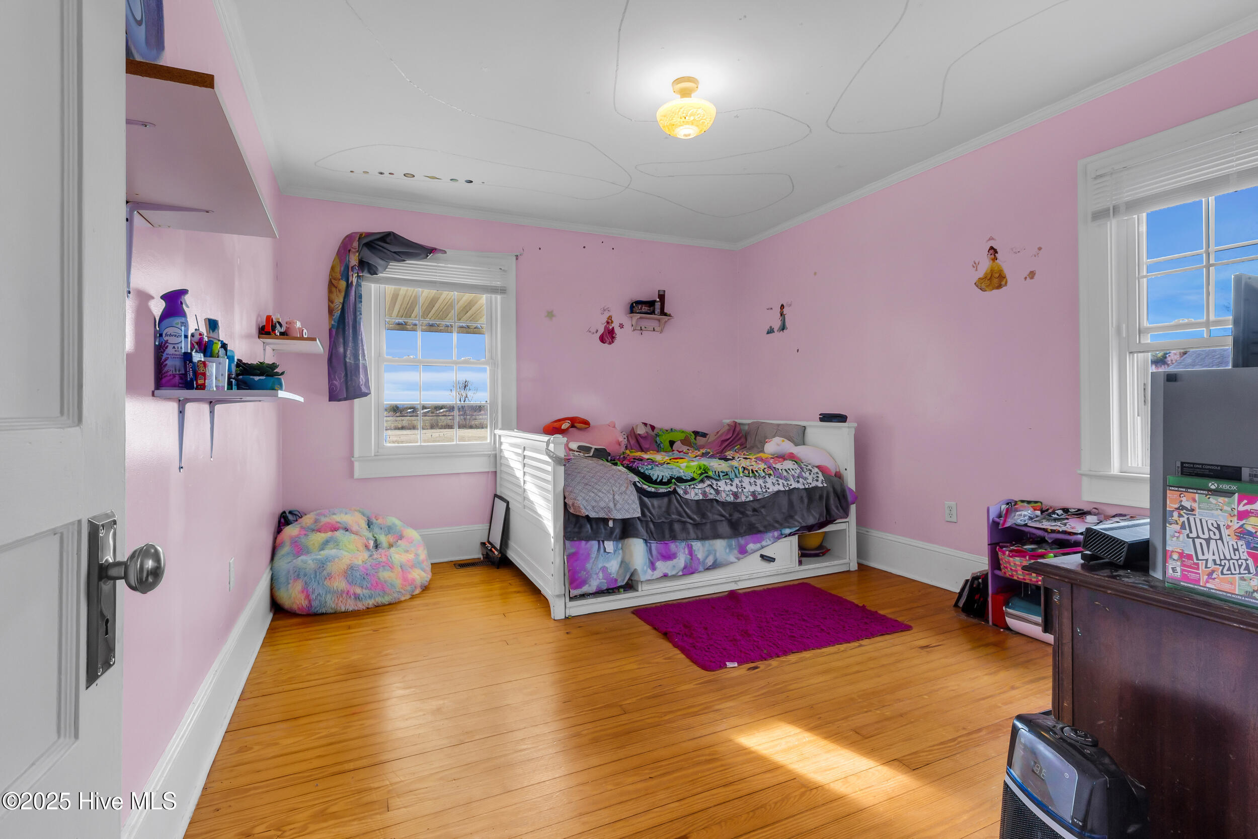 313 Mill Pond Road Bayboro, NC 28515 - Photo 6 of 27 Adorable bedroom with