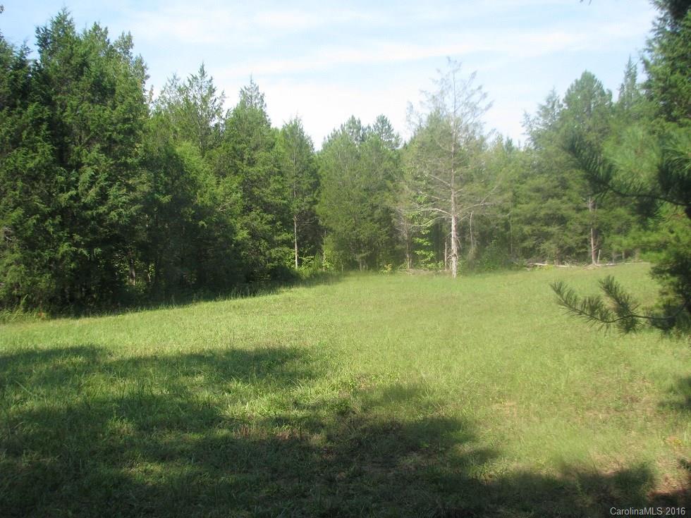 19-ac Pathway Lane Chester, SC 29706 - Photo 11 of 22 a view of outdoor space and yard