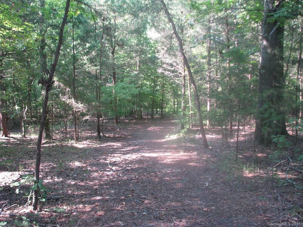 19-ac Pathway Lane Chester, SC 29706 - Photo 12 of 22 a view of a forest with trees