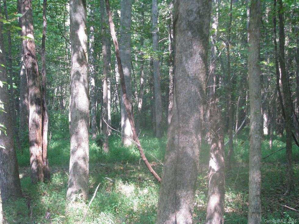 19-ac Pathway Lane Chester, SC 29706 - Photo 13 of 22 a view of forest