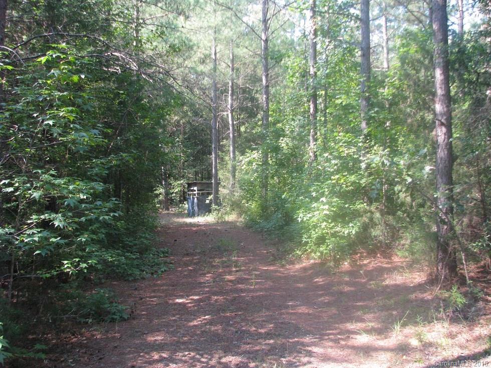 19-ac Pathway Lane Chester, SC 29706 - Photo 10 of 22 a view of outdoor space and trees