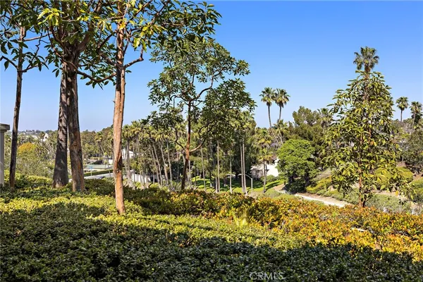 a view of outdoor space and covered with trees