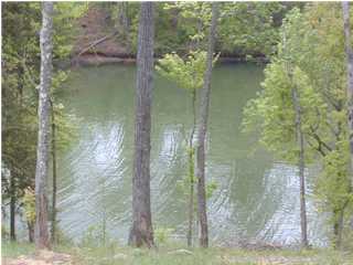 0 Dreamland Road, Unit 10A Spring City, TN 37381 - Photo 1 of 5 Primary Photo